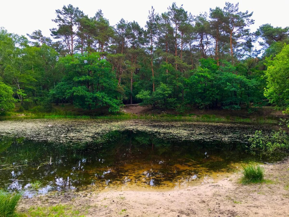 Veluwse Wolf: Natuurlijk Genieten! Otterlo Ngoại thất bức ảnh